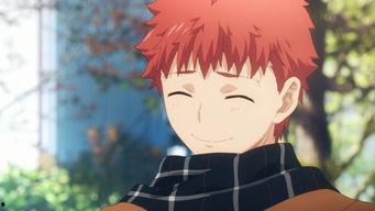 士郎资料,传奇英雄的辉煌历程与不朽传奇