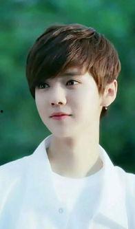 鹿晗家庭背景大揭秘,揭秘明星背后的故事