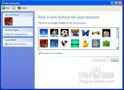 修改照片资料,照片资料修改后的视觉盛宴